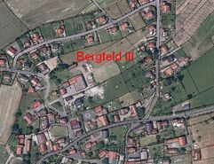 Bergfeld III